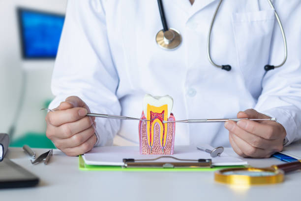 Best Broken or Chipped Tooth Repair in Sky Valley, CA